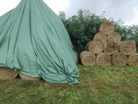 Széna kamion tételben országos szállítással Széna kamion tételben országos szállítással