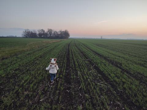 Szántóföld bérlésre vagy vásárlásra keresek Jásztelek környékén Szántóföld bérlésre vagy vásárlásra keresek Jásztelek környékén