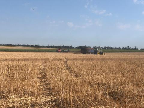 Trágyaszórás és trágyahordás vállalása az ország egész területén Trágyaszórás és trágyahordás vállalása az ország egész területén