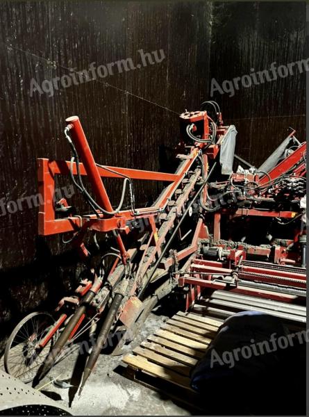 Használt Dewulf 1 soros petrezselyem és sárgarépa betakarítógép eladó