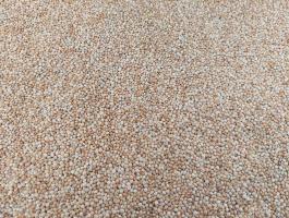 Sárga köles takarmány eladó Debrecenben