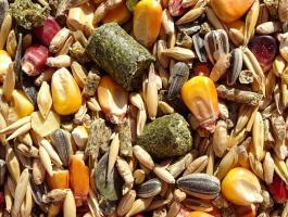 Magkeverék rágcsálóknak eladó,  akár postai szállítással is