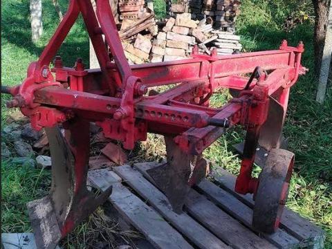 Eke eladó, 3 fejes Eke eladó, 3 fejes