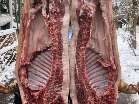 A jövő bizonytalan!Tanyasi mangalica hízó élve,  vágva,  hasítva igény szerint,  ea. foglalható,  szállítom is Siófokról