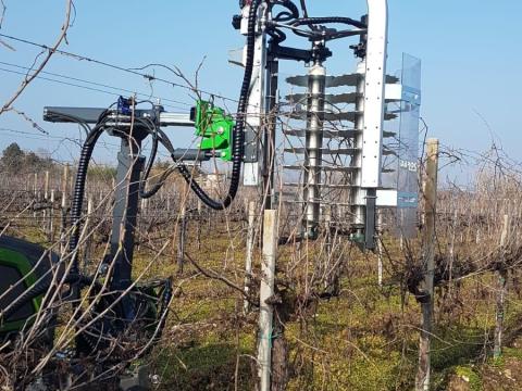 Da Ros Green / DaRos Green tárcsás előmetsző Da Ros Green / DaRos Green tárcsás előmetsző