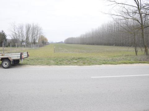 Tiszakécskei szántóföld eladó Tiszakécskei szántóföld eladó