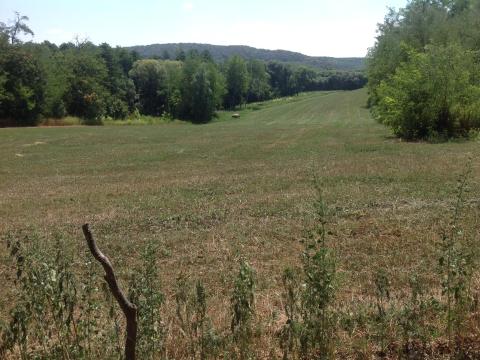 20,6 ha szántó eladó 20,6 ha szántó eladó