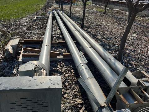 1 darab csiga eladó 1 darab csiga eladó