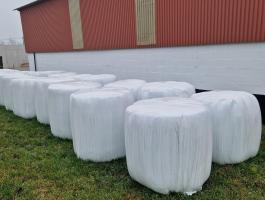 Lucernaszenázs körbála eladó Héregen