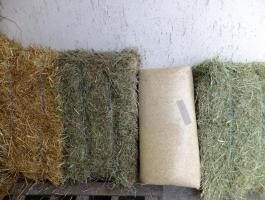 Eladó kisbálás széna, szalma, lucerna Debrecenben