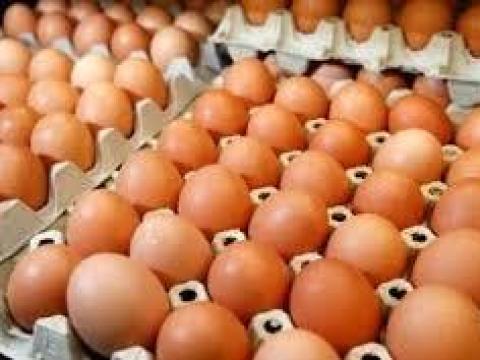 Friss termelői tojás Friss termelői tojás