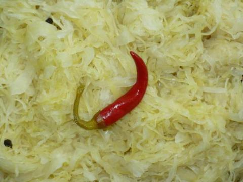 Akciós, étkezési, I. osztályú savanyú káposzta – minimum rendelés 10 tonna