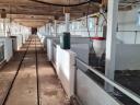 Eladó sertéshizlalda Nemesdéden, 1 hektáros területen, 840 m²-es épülettel