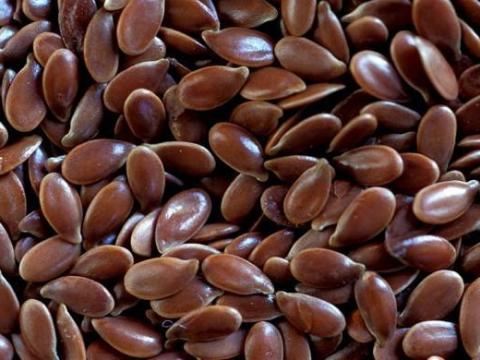 Olajlen vetőmag házhozszállítással, személyes átvétellel Olajlen vetőmag házhozszállítással, személyes átvétellel