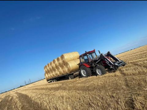Körbálás szalma eladó Kecskeméten