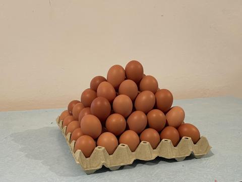 Friss termelői tojás eladó, ketreces tartásból, nagy tételben is Friss termelői tojás eladó, ketreces tartásból, nagy tételben is