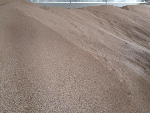 Búza eladó Búza eladó