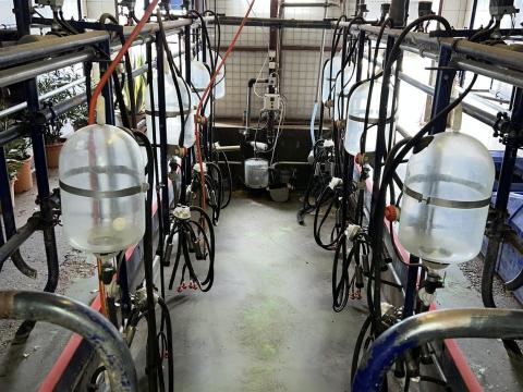 Rekorderes, 2x4-es automata mosórendszerrel és pillanat hűtővel S.A.C. típusú fejőállás Rekorderes, 2x4-es automata mosórendszerrel és pillanat hűtővel S.A.C. típusú fejőállás