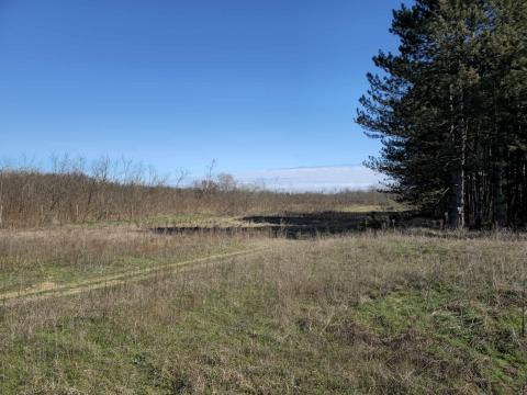 Baján, külterületi ingatlanfejlesztési területen 32 664 m² földterület eladó Baján, külterületi ingatlanfejlesztési területen 32 664 m² földterület eladó