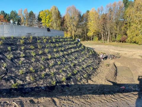 Kertépítés,  térkő-térburkolás,  növénytelepítés,  kerìtés építés