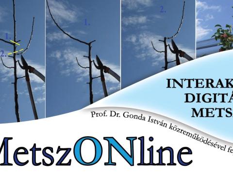 MetszONline - digitális metszés oktatási anyag gyümölcstermelőknek és hobbikertészeknek MetszONline - digitális metszés oktatási anyag gyümölcstermelőknek és hobbikertészeknek