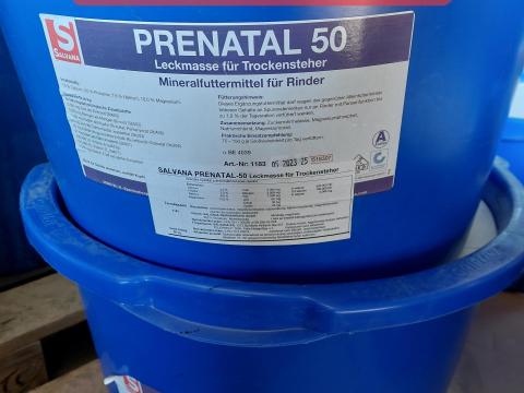 Prenatál nyalótál szárazon állas idejére