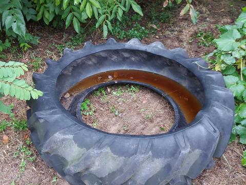 Eladó 1 darab Traktor kerék Ráckevén Eladó 1 darab Traktor kerék Ráckevén