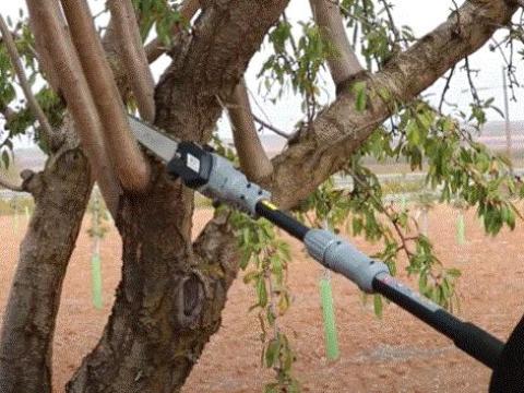 Arvipo HS37 magassági ágvágó láncfűrész Arvipo HS37 magassági ágvágó láncfűrész