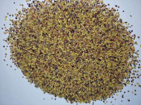 Fémzárolt vöröshere és lóhere mag eladó postai utánvéttel