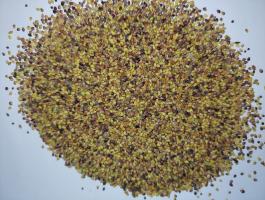 Vöröshere mag,  lóhere mag fémzárolt eladó postai utánvéttel