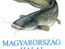 Magyarország halai