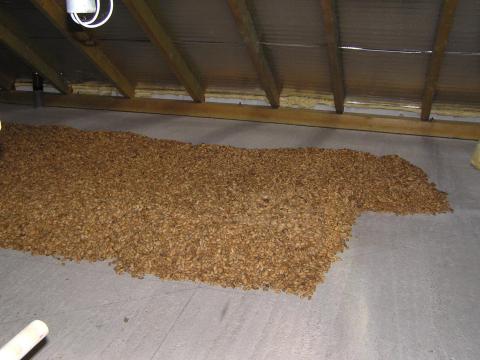 Mandula ELADÓ Mandula ELADÓ