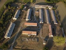 Sertéstelep,  Majorság