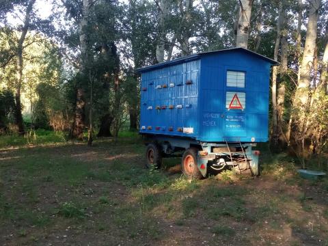 Méhcsalád Méhcsalád