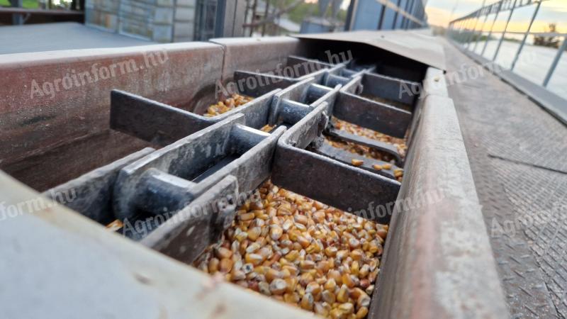 Eladó 170 méter hosszú, 60 t/h teljesítményű terményszállító rédler, láncos szállító