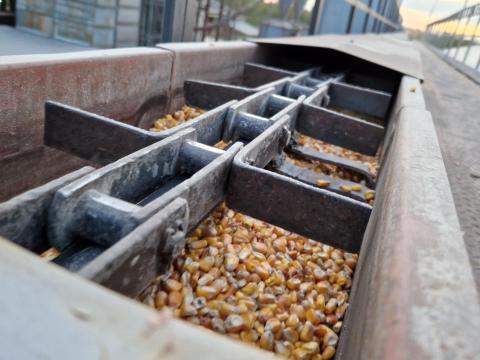 Eladó 170 méter hosszúságú, 60 t/h teljesítményű terményszállító rédler, láncos szállító