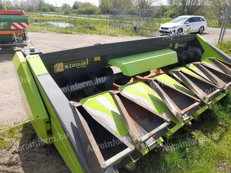 Ziegler Corn Champion 6 soros kukoricaadapter eladó