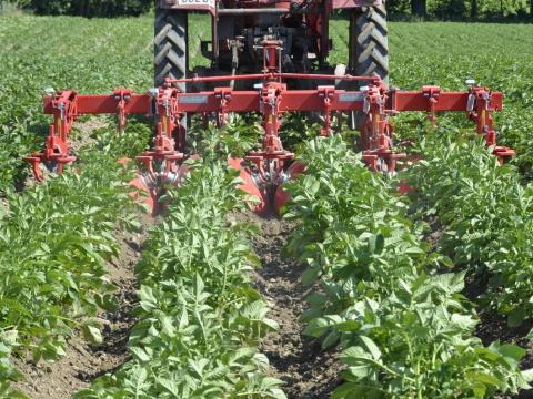 EINBÖCK HILLSTAR EHG 4-soros bakhátápoló merev vázzal EINBÖCK HILLSTAR EHG 4-soros bakhátápoló merev vázzal