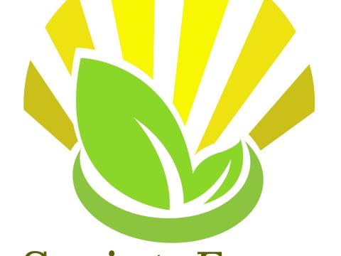 GÉPKEZELŐ-TRAKTOROST KERESÜNK