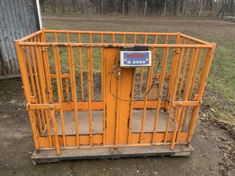 Élőállat-mérleg sertésekhez