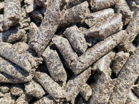 Repce pellet eladó postai utánvéttel Repce pellet eladó postai utánvéttel