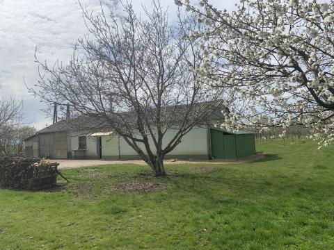 Eladó 4,4 ha szántó gazdasági épülettel Eladó 4,4 ha szántó gazdasági épülettel