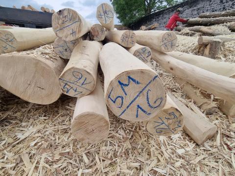 Szíjácsmentes akácoszlopok Szíjácsmentes akácoszlopok