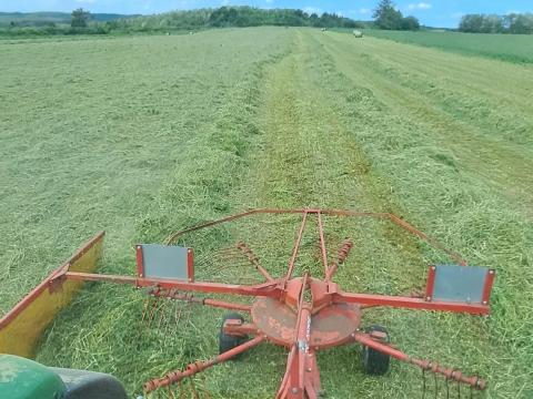 Fella rendképző 290 Fella rendképző 290