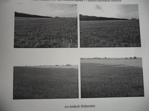 Szántó eladó Pest megyében, Tóalmás külterületén Szántó eladó Pest megyében, Tóalmás külterületén