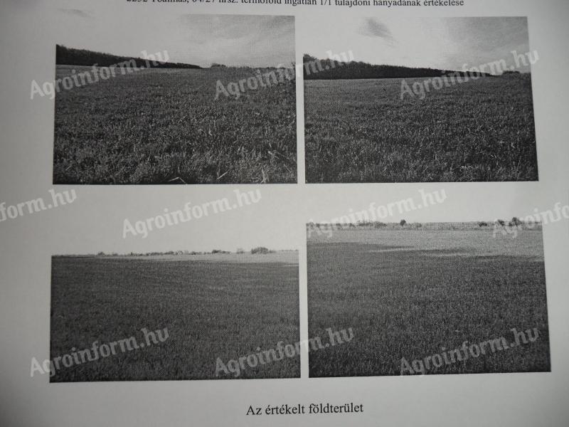 Szántó eladó Pest megyében, Tóalmás külterületén