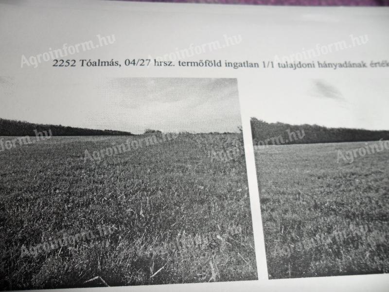Szántó eladó vagy bérbeadó Pest megyében, Tóalmáson