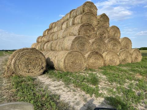 Réti széna Réti széna