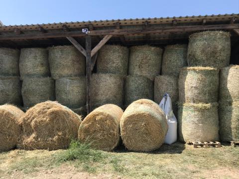 Széna bála és lucerna bála eladó Széna bála és lucerna bála eladó