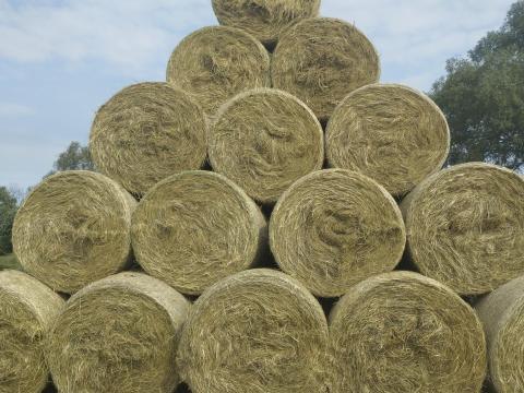 Széna 8500 Ft-tól, fuvar Zalából országosan